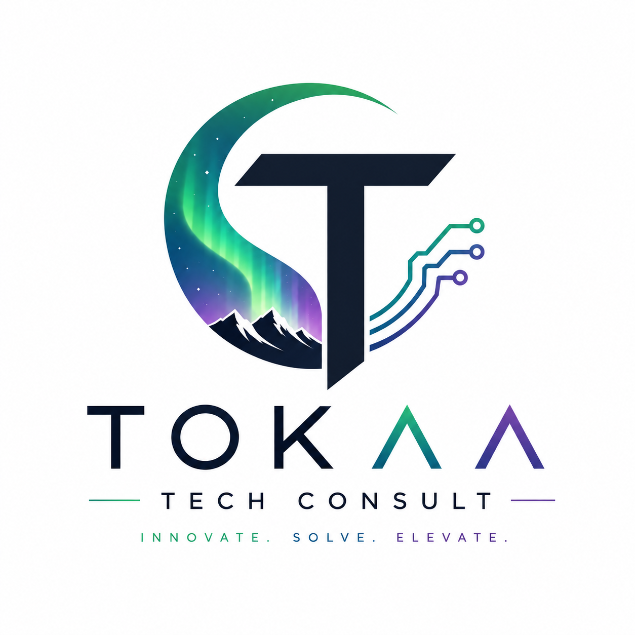 Tokaa Tech Consult logo